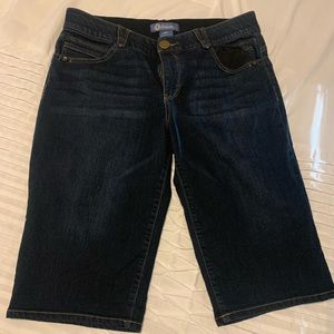 Democracy Bermuda Short